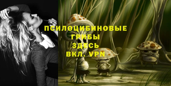 героин Вяземский
