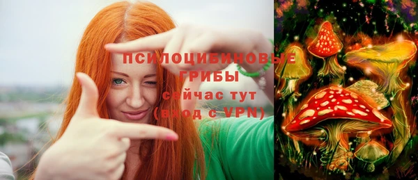 трава Вязьма