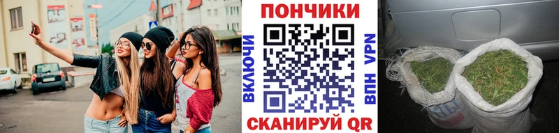 Марихуана гибрид где купить Нязепетровск